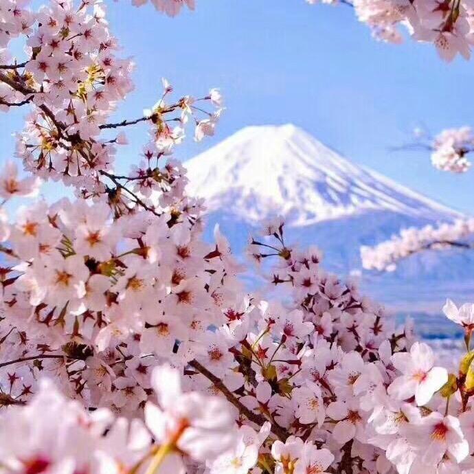 狮子