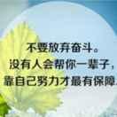 豫东河南羊汤烩面洪塘西路40号，努力挣钱