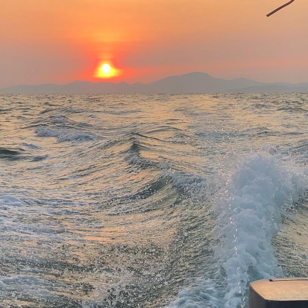 金星兴数码专营店