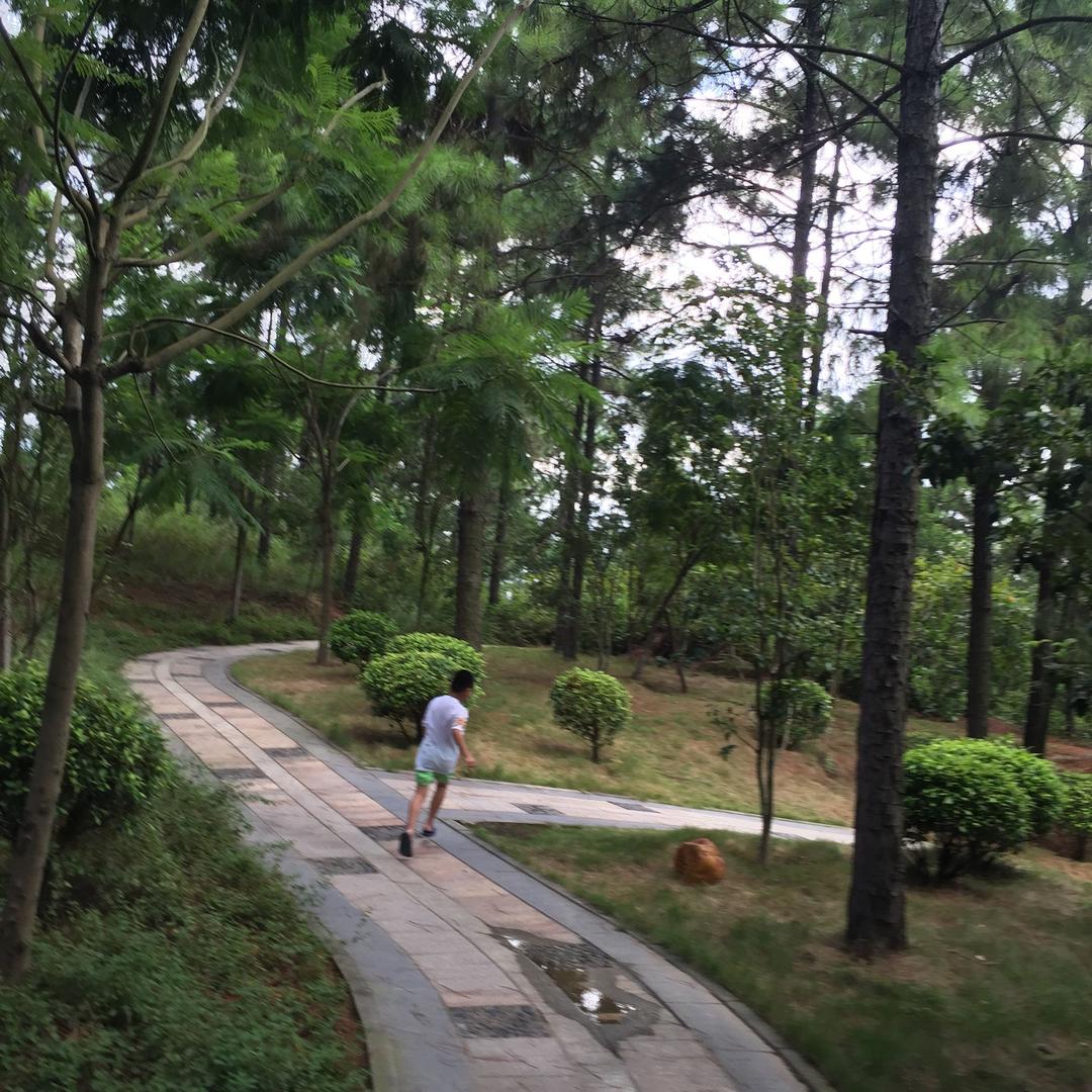 铭楷