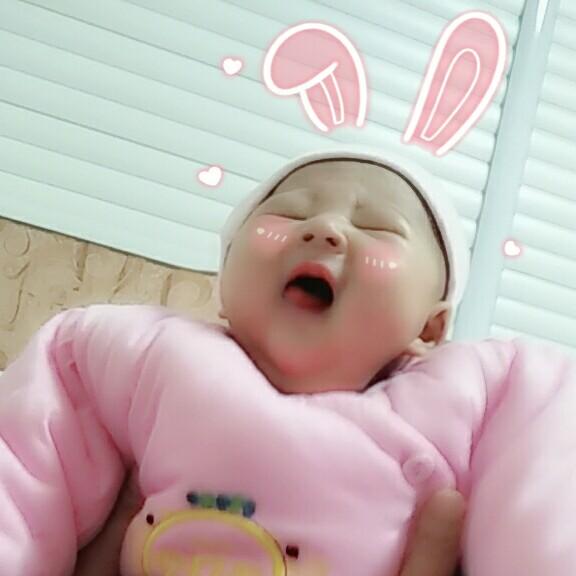 不爱学习的欢欢