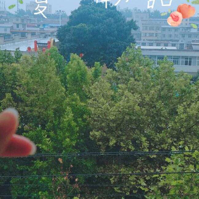 我是太阳。322669