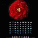 随缘，侯哥