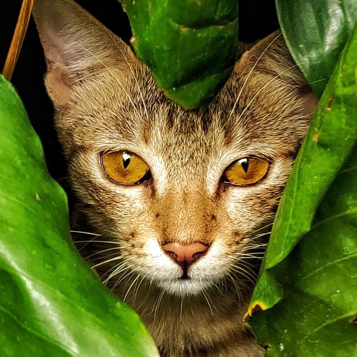 手机用户74715787072