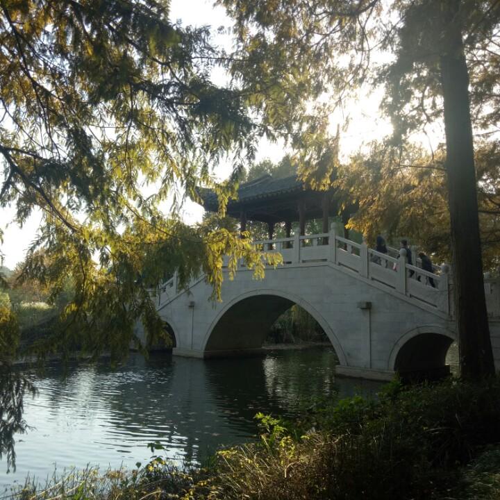 邦.詹姆斯.邦