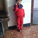 巴黎盛开的樱花🌸