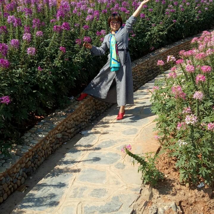 用户016621铿锵玫瑰