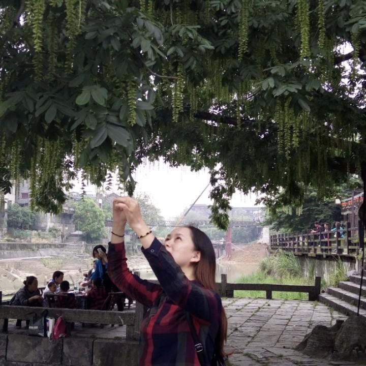 云见花开