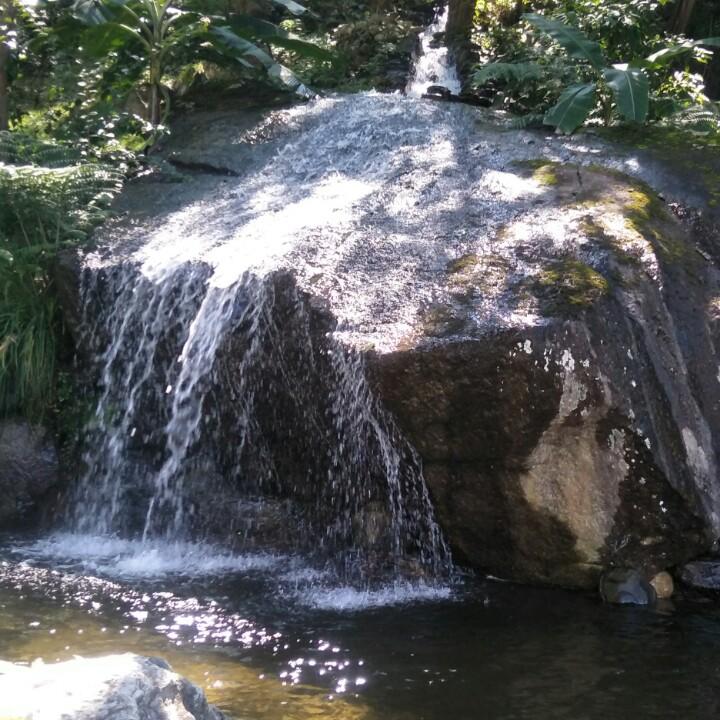 🌿心雨🌷晴空🌻