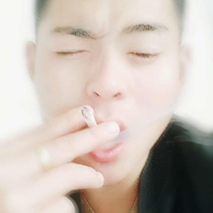 🐱 素 猫__––