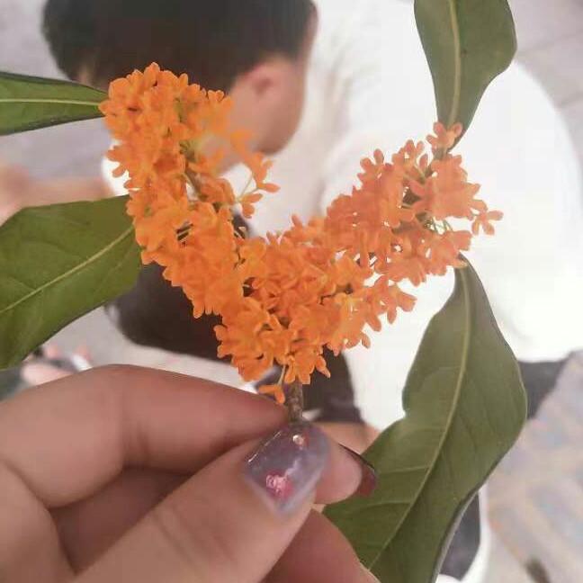 $&勇？