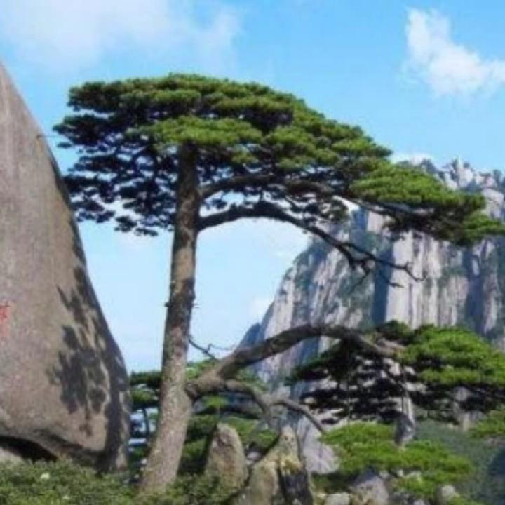 善待人生