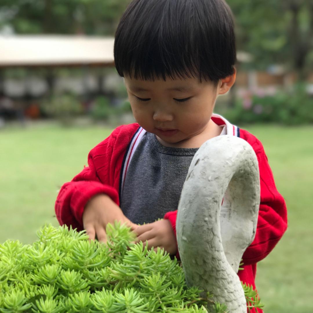晨曦
