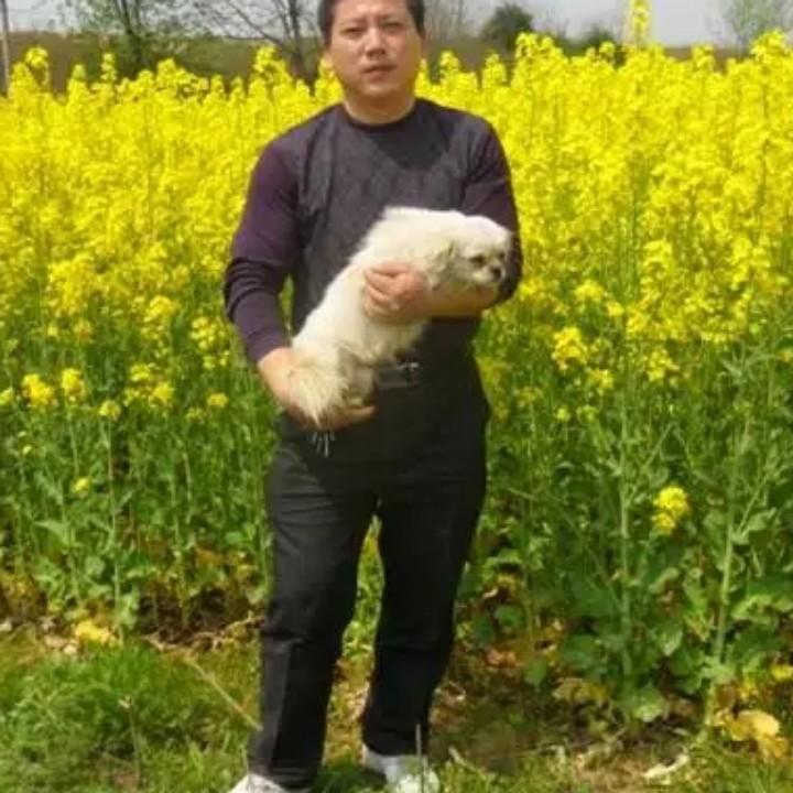鼠多快乐（湖北安陆市)