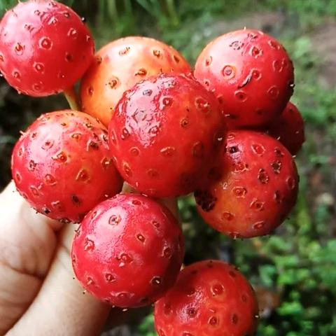 彭然💞心动🌺