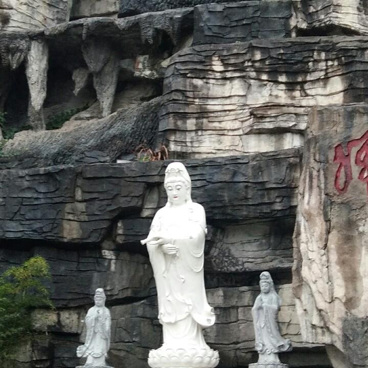 正在奋斗的路上