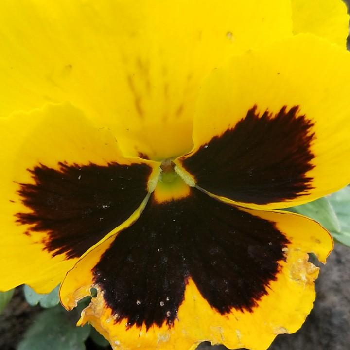 ヾ除你不爱“”