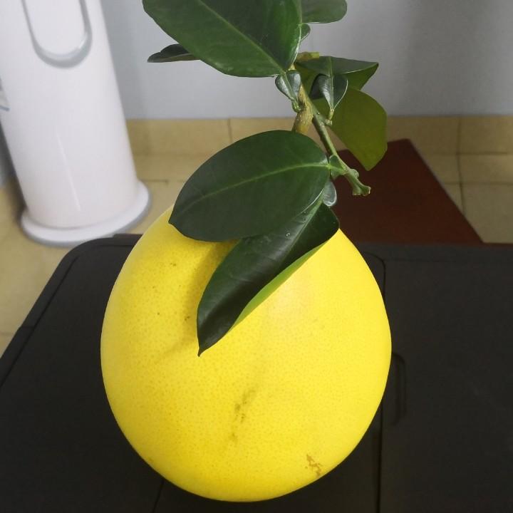 王二果业(皇山农贸店)
