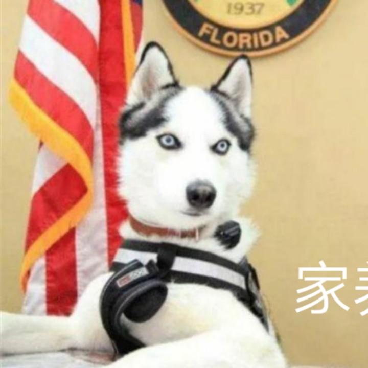 虎大王大王