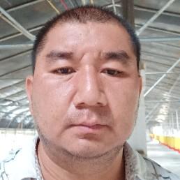 赵文东