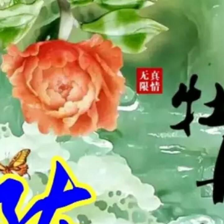 走南闯北