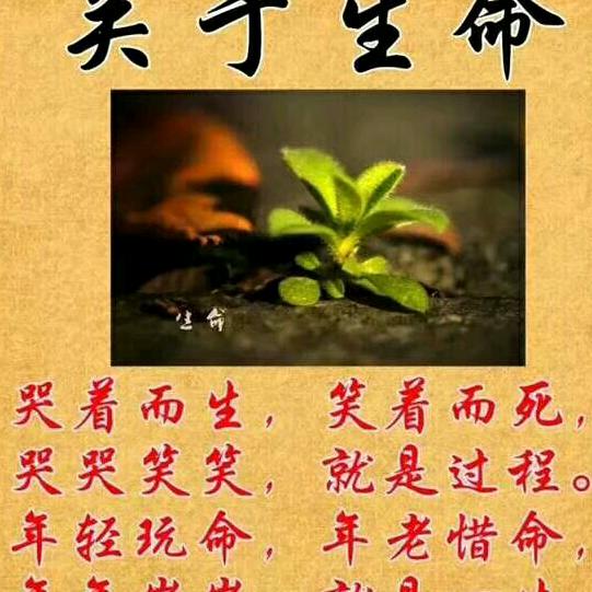 让心归零