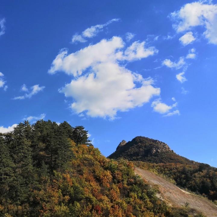 韶光绘影