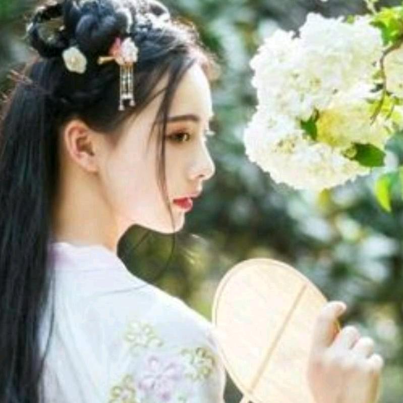 昆明云姐