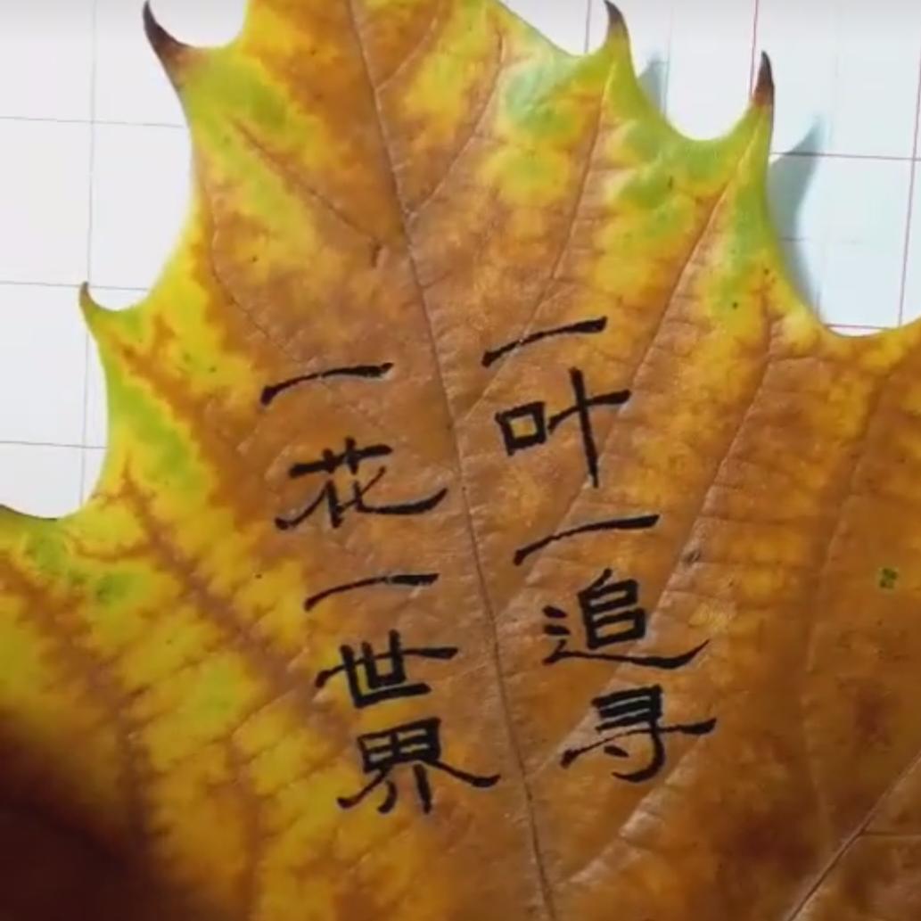 淡泊宁静