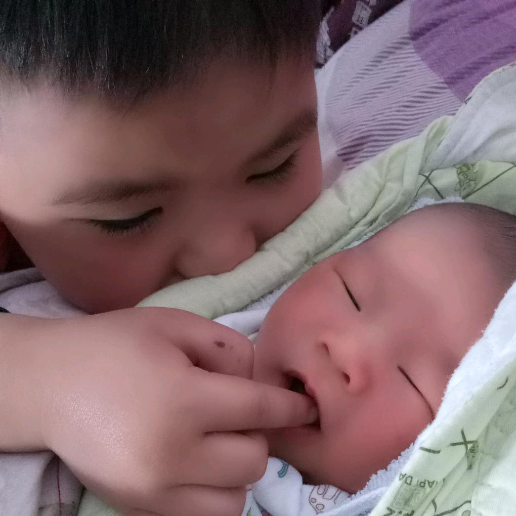 静观其变