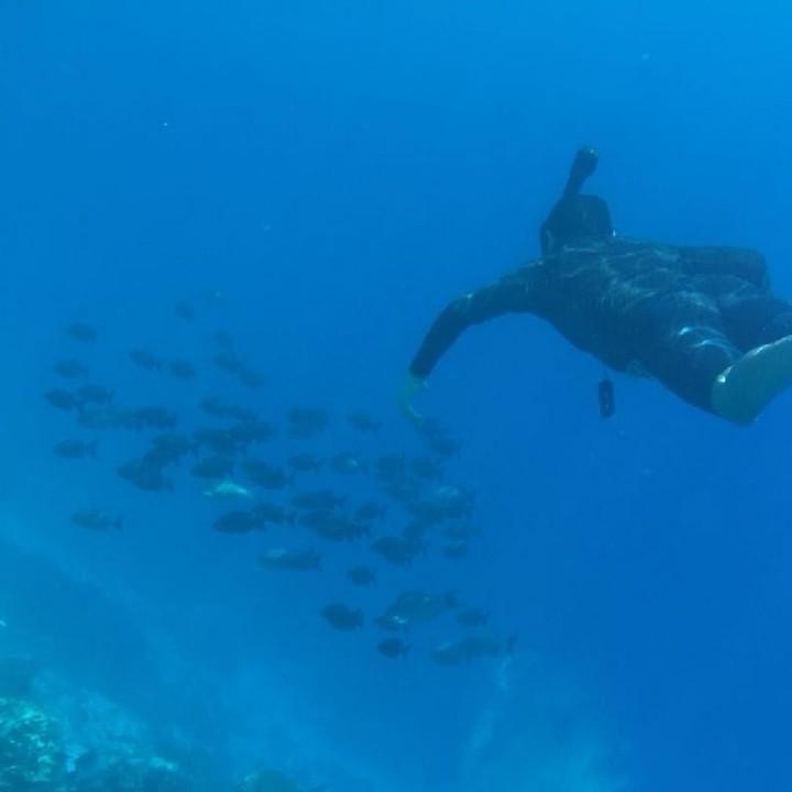 水底八万里