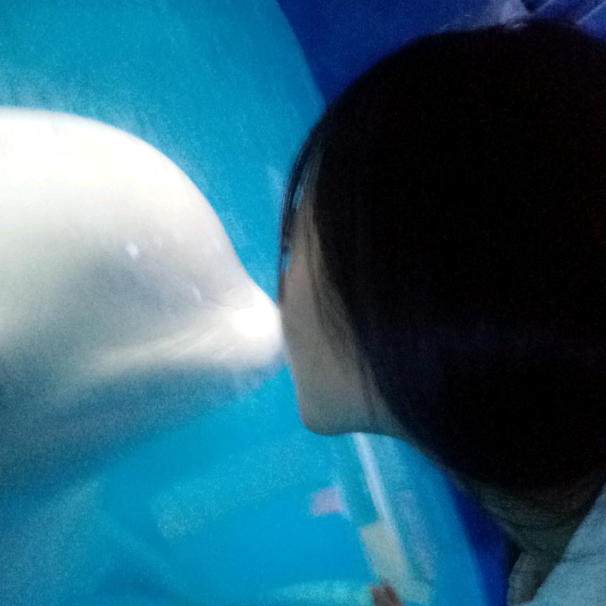 番茄不炒蛋ʚʕ̯•͡˔•̯᷅ʔɞ