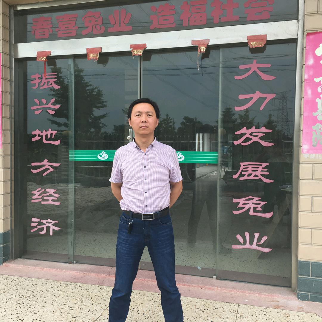 春喜兔毛