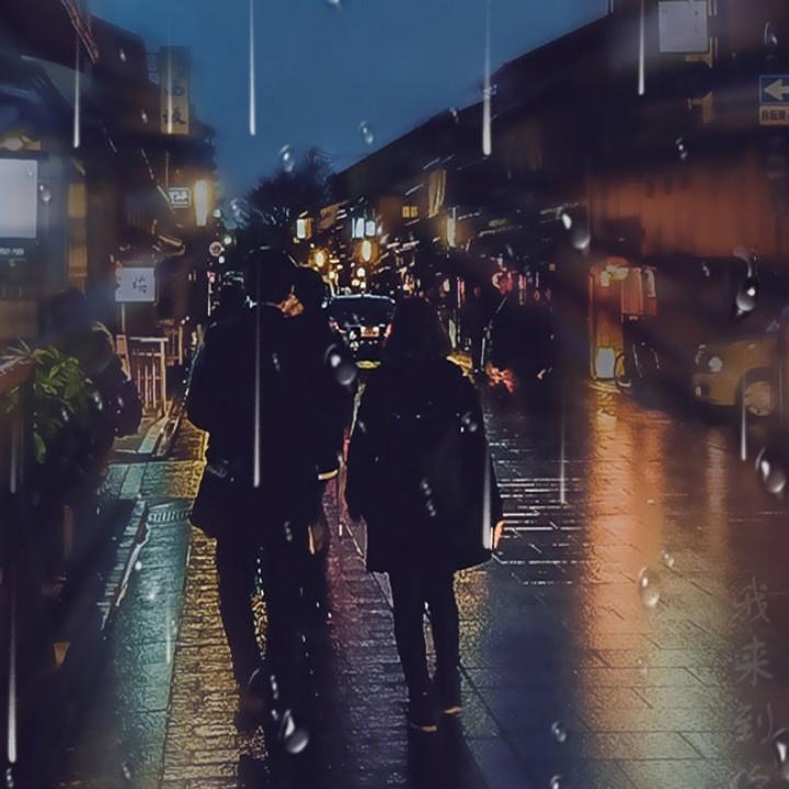 枫