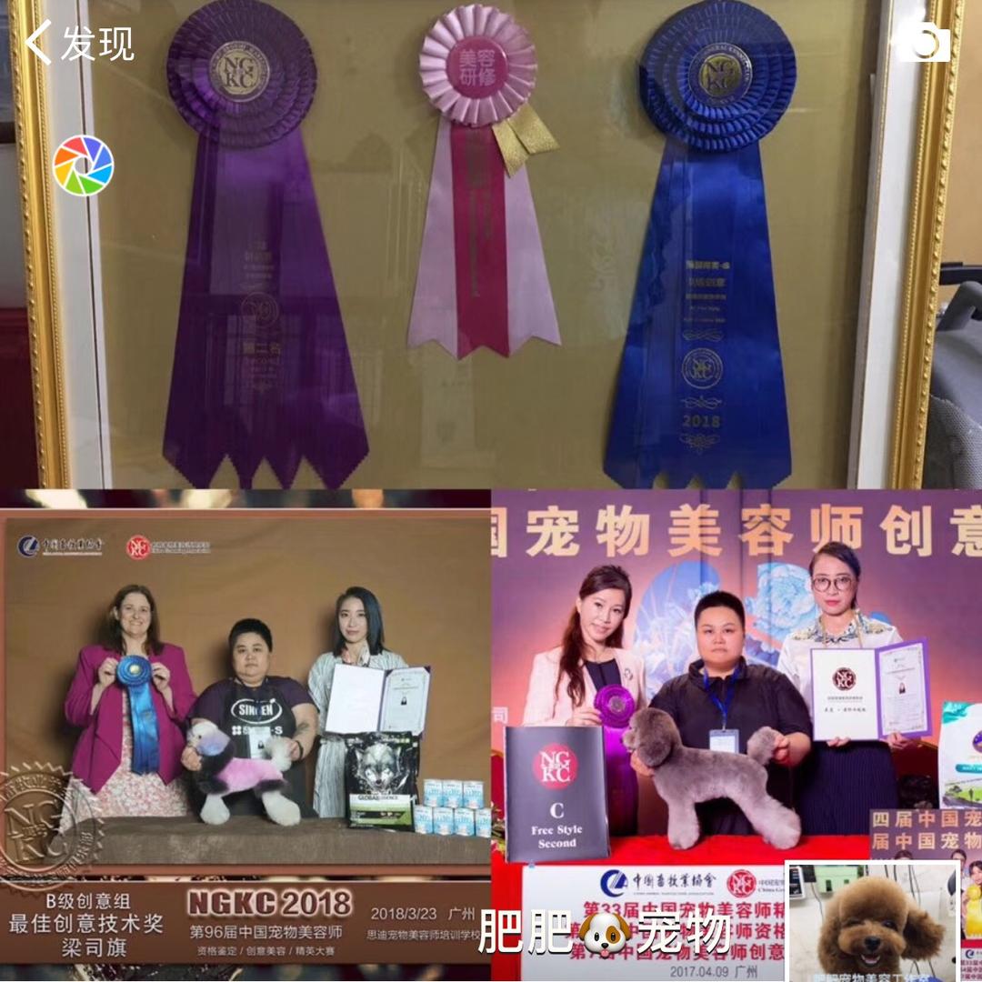 肥肥🐶美容