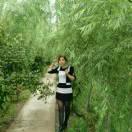 伊香阁酒楼专业坝坝席，一条龙服务