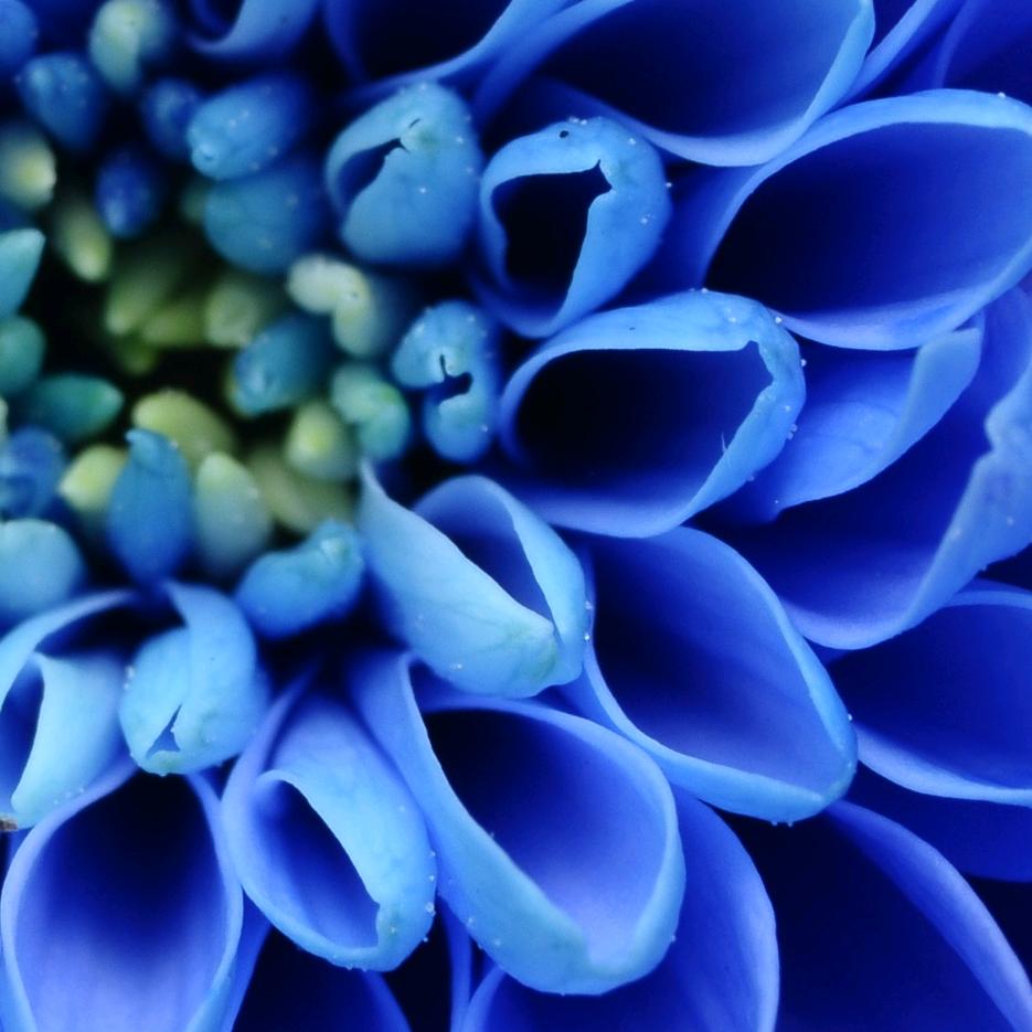 喜欢就要说出来😜