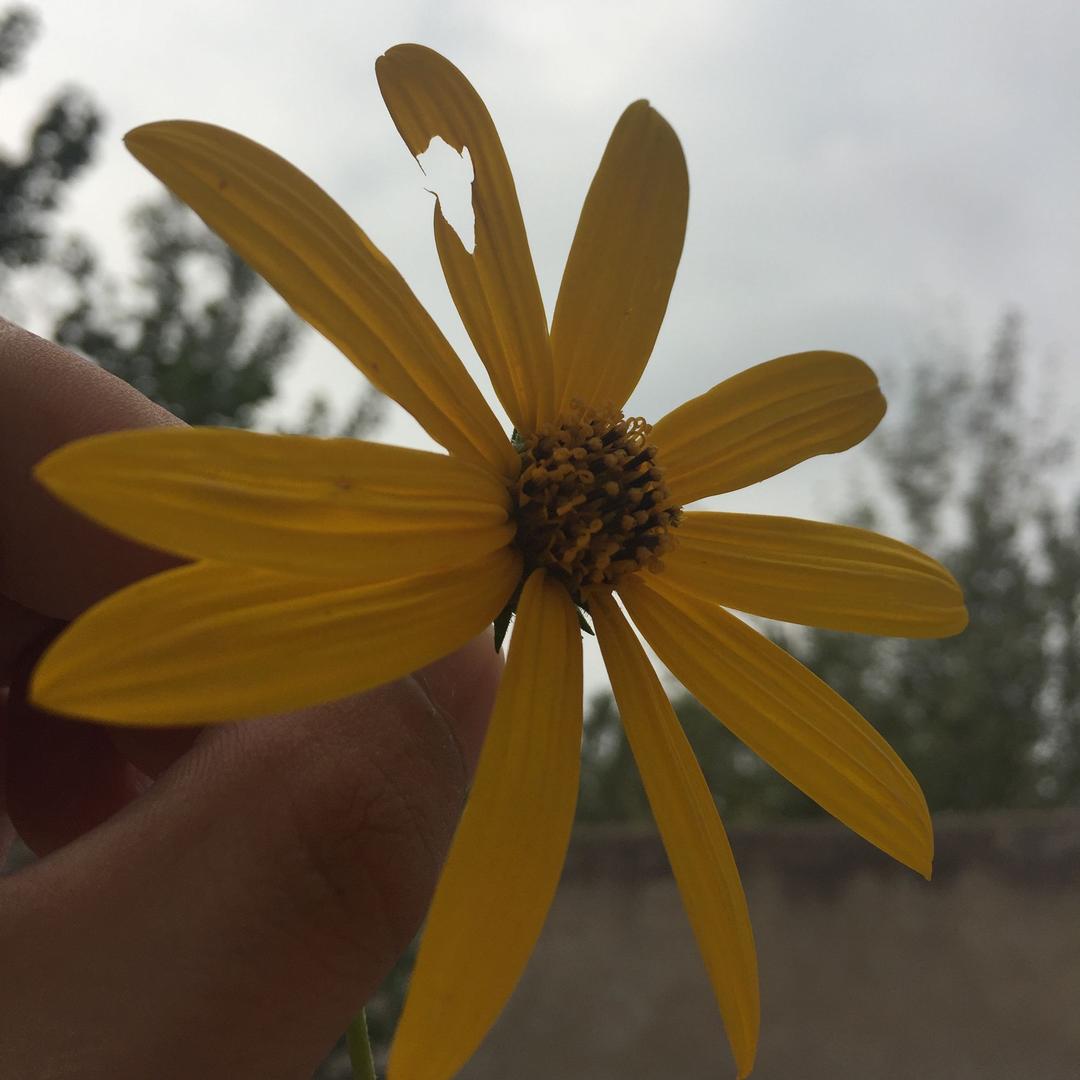 许个愿吧