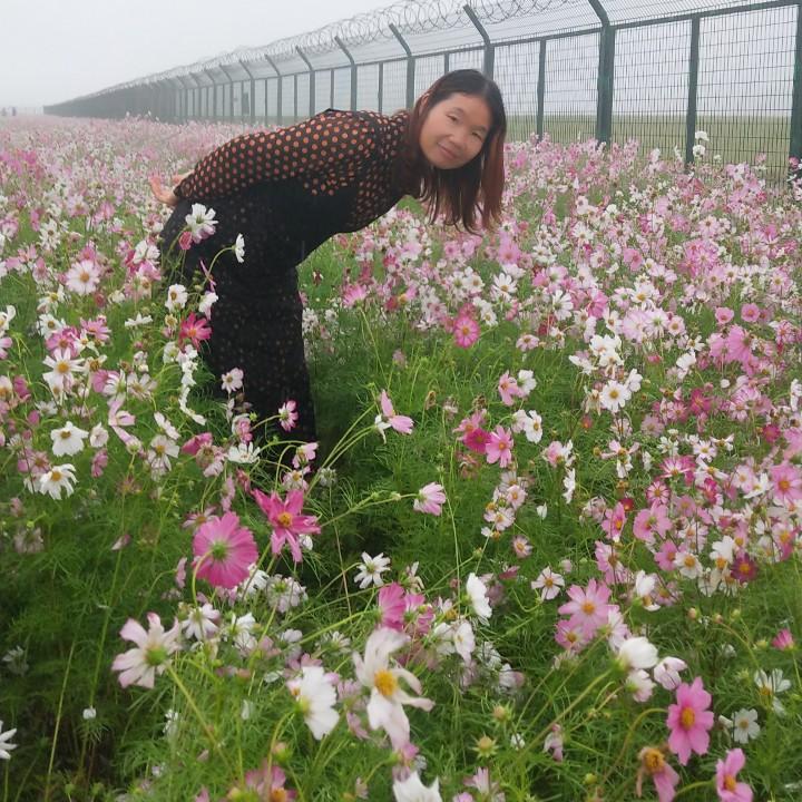 林子