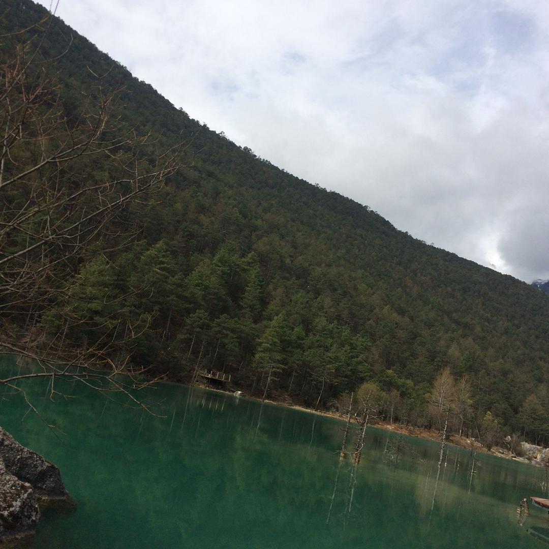 陈英
