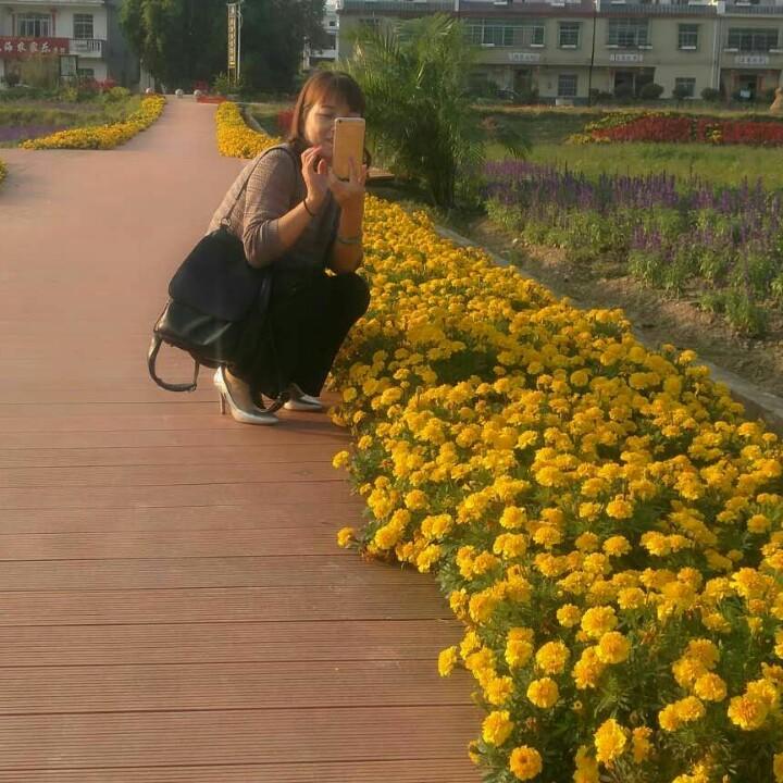 上犹德泽园望江亭钓具