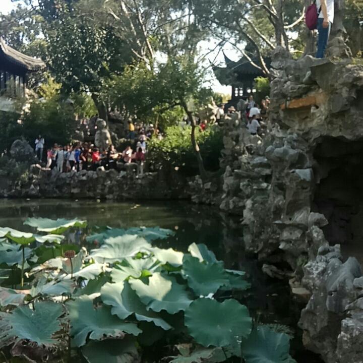 春风已到夏荷尖尖漏，秋芽已发冬意悠悠凑