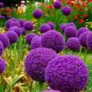 🥀₅²⁰惜💞缘🦹¹ᶟ₁₄