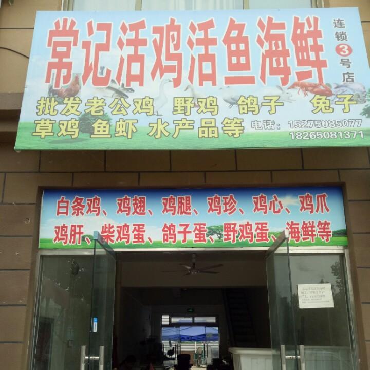 单县常亿购销各种老公鸡