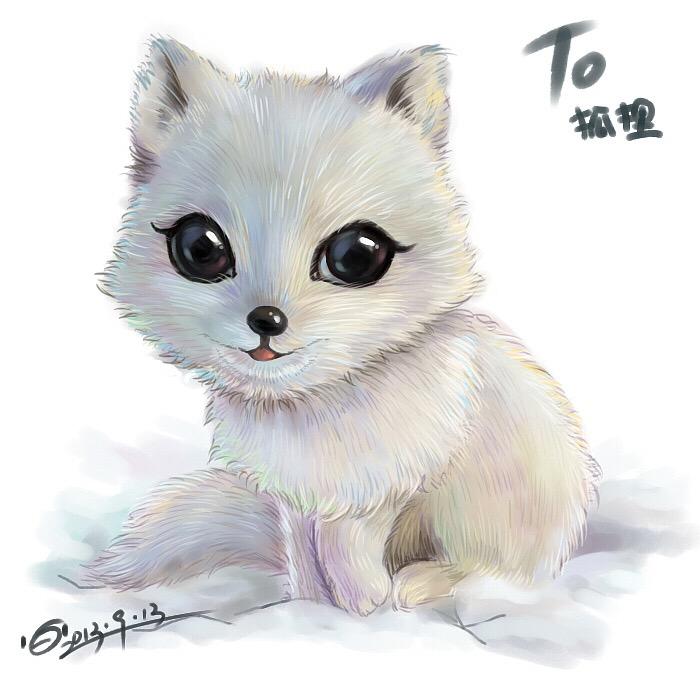 疯狂的狐狸