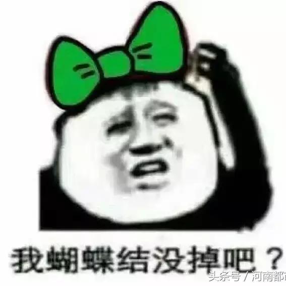 蝴蝶结🦋