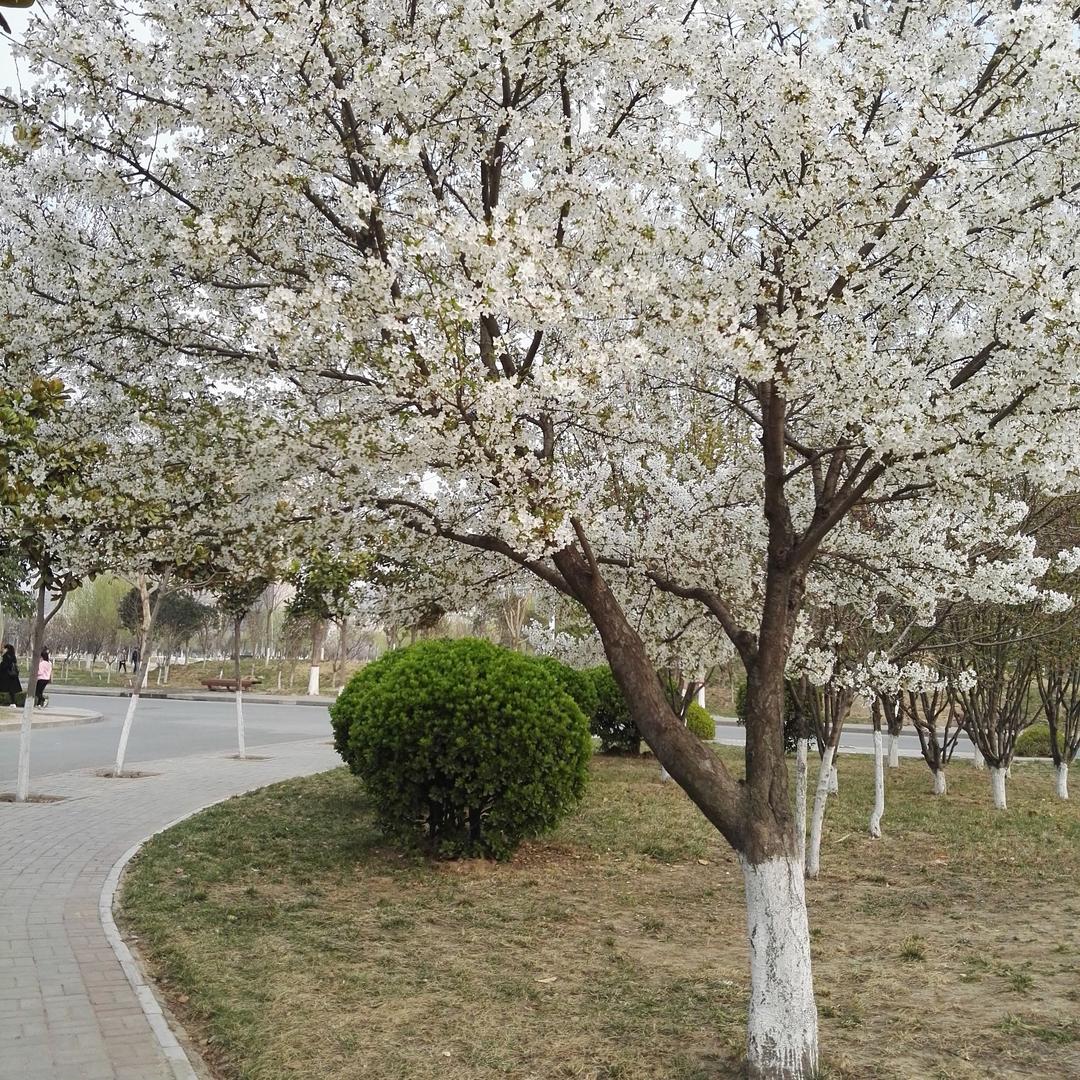 🌈机器人❤️Wall ·E🌈