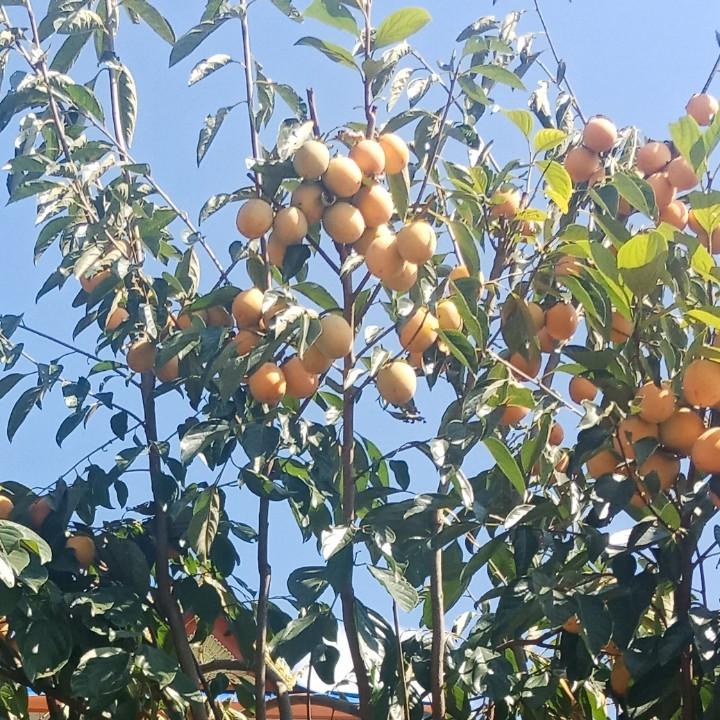 专业钢结构焊接