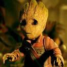 斑马还没睡💤💤