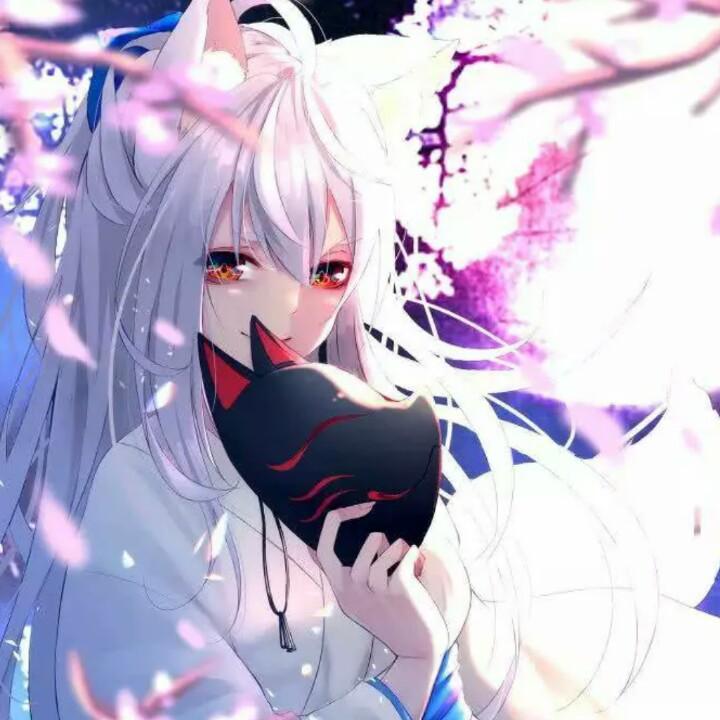 1号女嘉宾